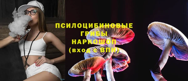 а пвп мука Абаза