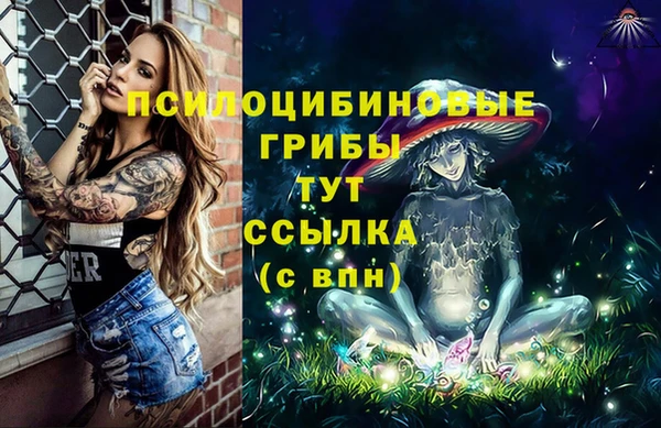 ECSTASY Абдулино