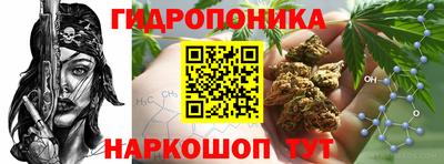 ALPHA PVP Канаш