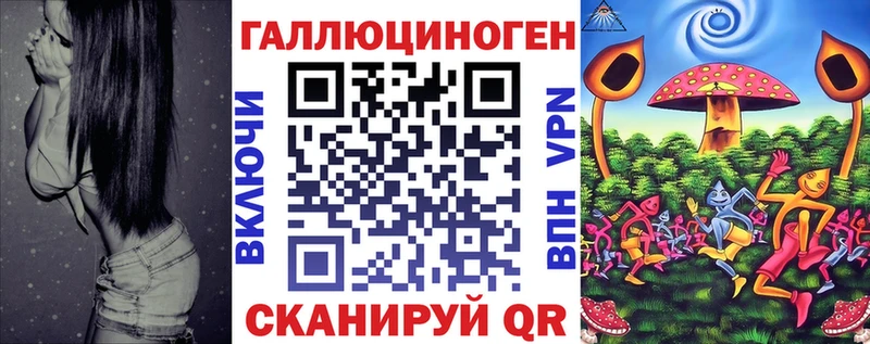 где продают   Сертолово  Псилоцибиновые грибы мицелий 