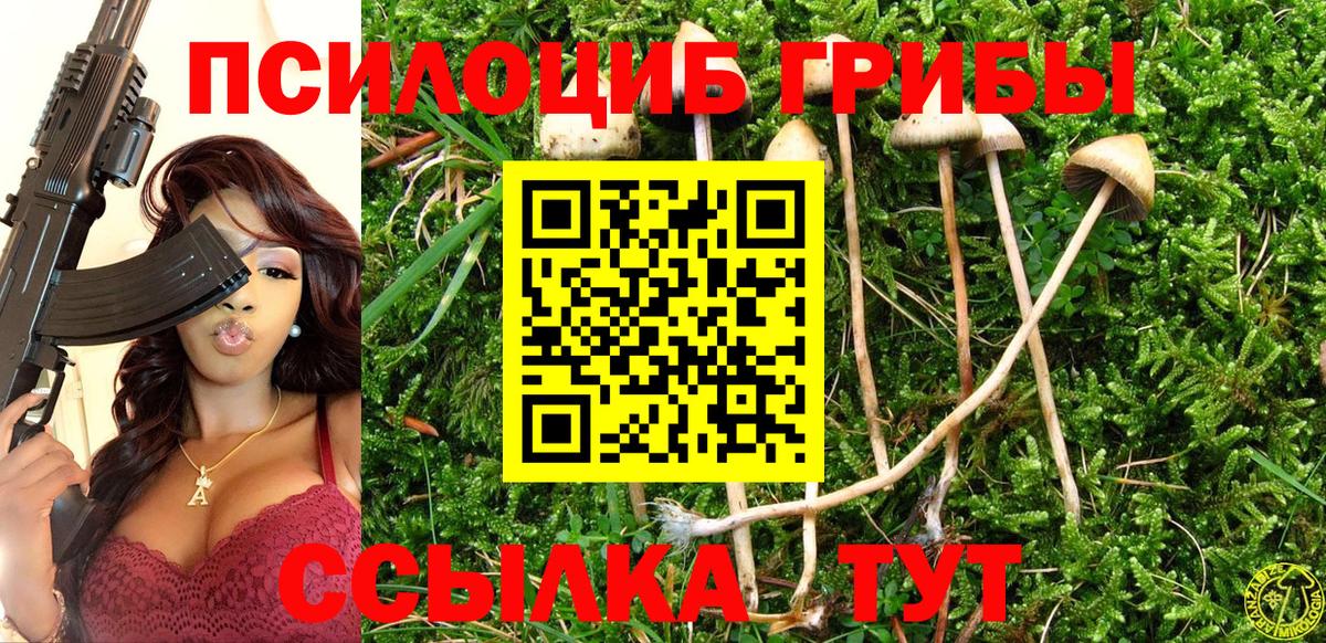 Галлюциногенные грибы GOLDEN TEACHER  Псилоцибиновые грибы Psilocybine cubensis  Сертолово  Вход с VPN 